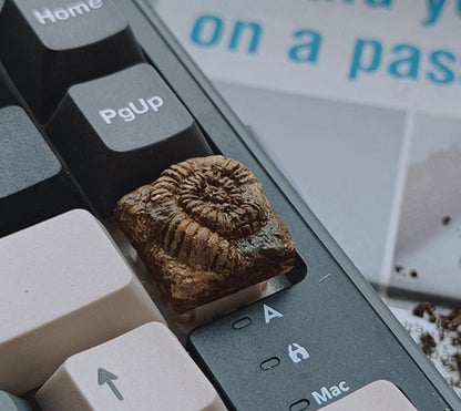 Fossil Museum - Aged Fossil Hand Carved Paleontology Creative Personalised Keycaps
