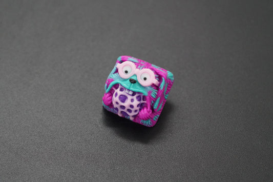 R009