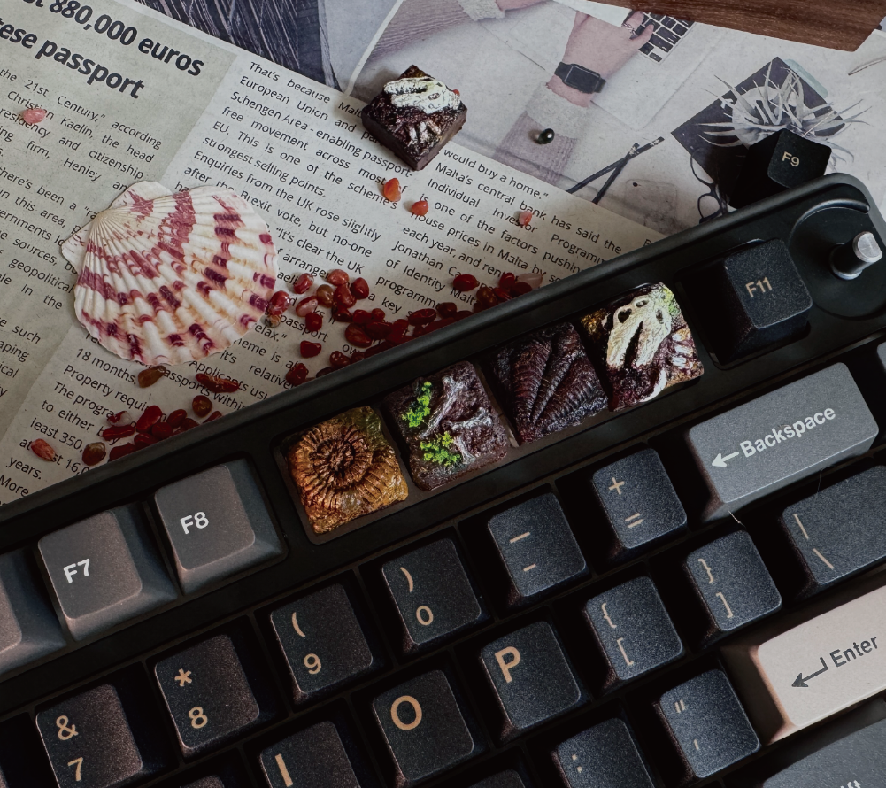 Fossil Museum - Aged Fossil Hand Carved Paleontology Creative Personalised Keycaps