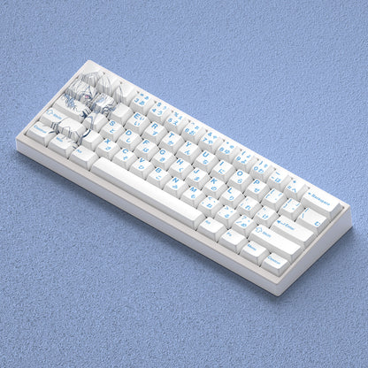 EVA, Ayanami Rei Anime Character Keycaps Original Factory Height Side Engraved Transparent Keycaps PBT Side Transparent Personalized Set Keys