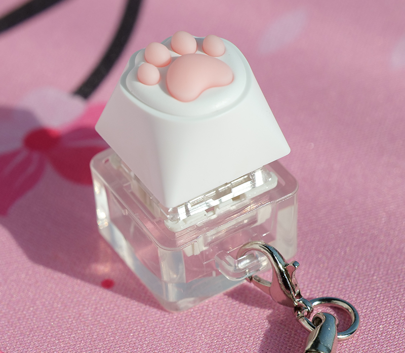 Acrylic independent switch tester, with keycaps provided.
