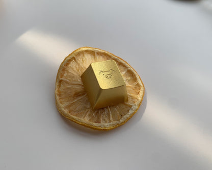 Aluminum alloy anode simple pig personality ESC metal keycap CNC keycap