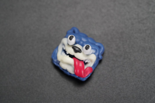 B009